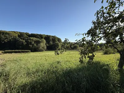 🌿 Продається земельна ділянка 19,2 сотих у Зарванцях — мініатюра фото 1