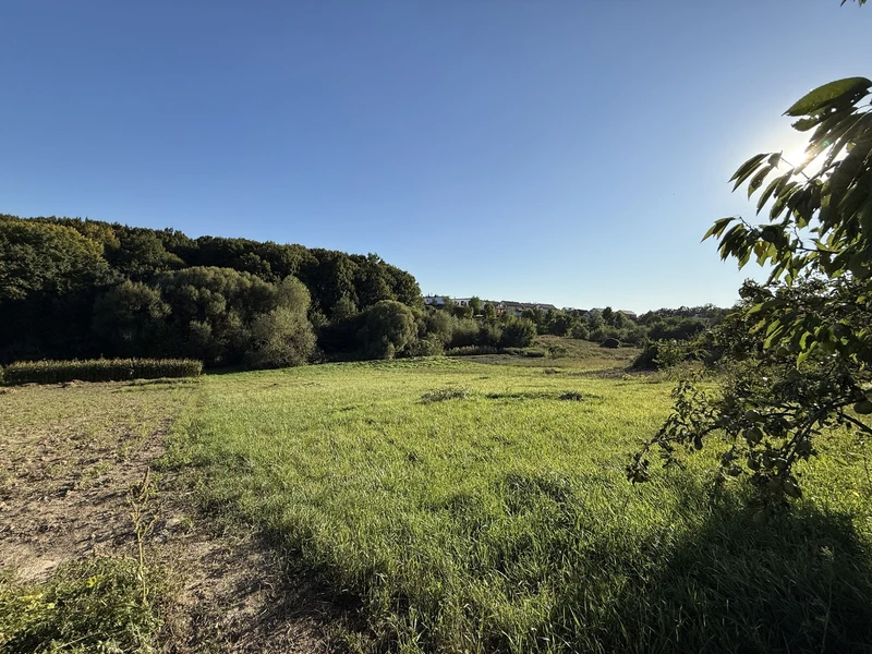 🌿 Продається земельна ділянка 19,2 сотих у Зарванцях — фото 2 з 20