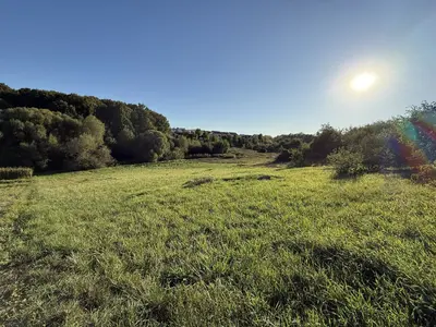 🌿 Продається земельна ділянка 19,2 сотих у Зарванцях — мініатюра фото 3