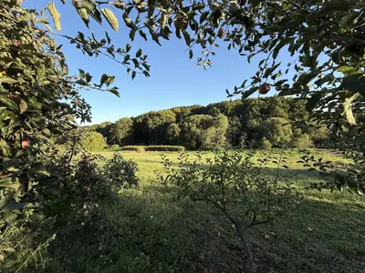🌿 Продається земельна ділянка 19,2 сотих у Зарванцях — мініатюра фото 4