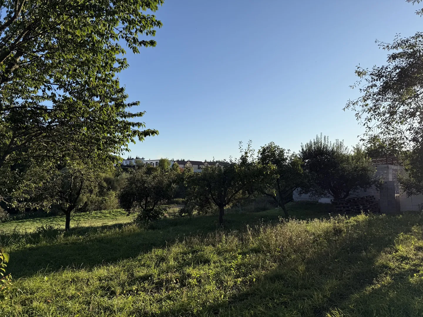 🌿 Продається земельна ділянка 19,2 сотих у Зарванцях — фото 5 з 20