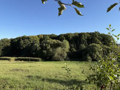 🌿 Продається земельна ділянка 19,2 сотих у Зарванцях — мініатюра фото 6