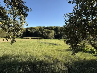 🌿 Продається земельна ділянка 19,2 сотих у Зарванцях — мініатюра фото 7
