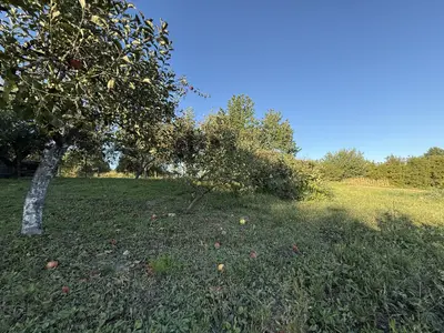 🌿 Продається земельна ділянка 19,2 сотих у Зарванцях — мініатюра фото 8
