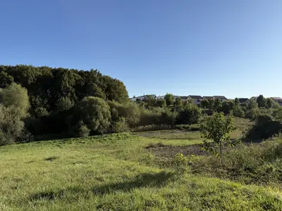🌿 Продається земельна ділянка 19,2 сотих у Зарванцях — мініатюра фото 10