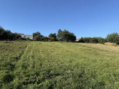 🌿 Продається земельна ділянка 19,2 сотих у Зарванцях — мініатюра фото 11