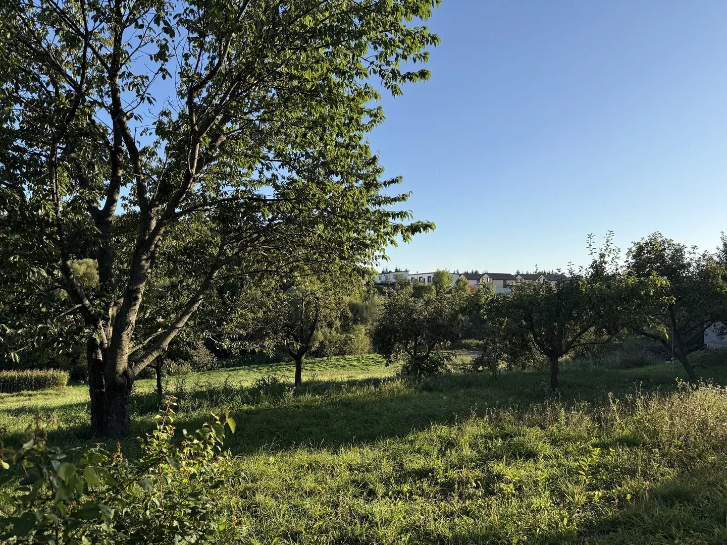 🌿 Продається земельна ділянка 19,2 сотих у Зарванцях — фото 12 з 20