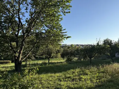 🌿 Продається земельна ділянка 19,2 сотих у Зарванцях — мініатюра фото 12