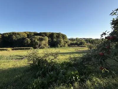 🌿 Продається земельна ділянка 19,2 сотих у Зарванцях — мініатюра фото 13