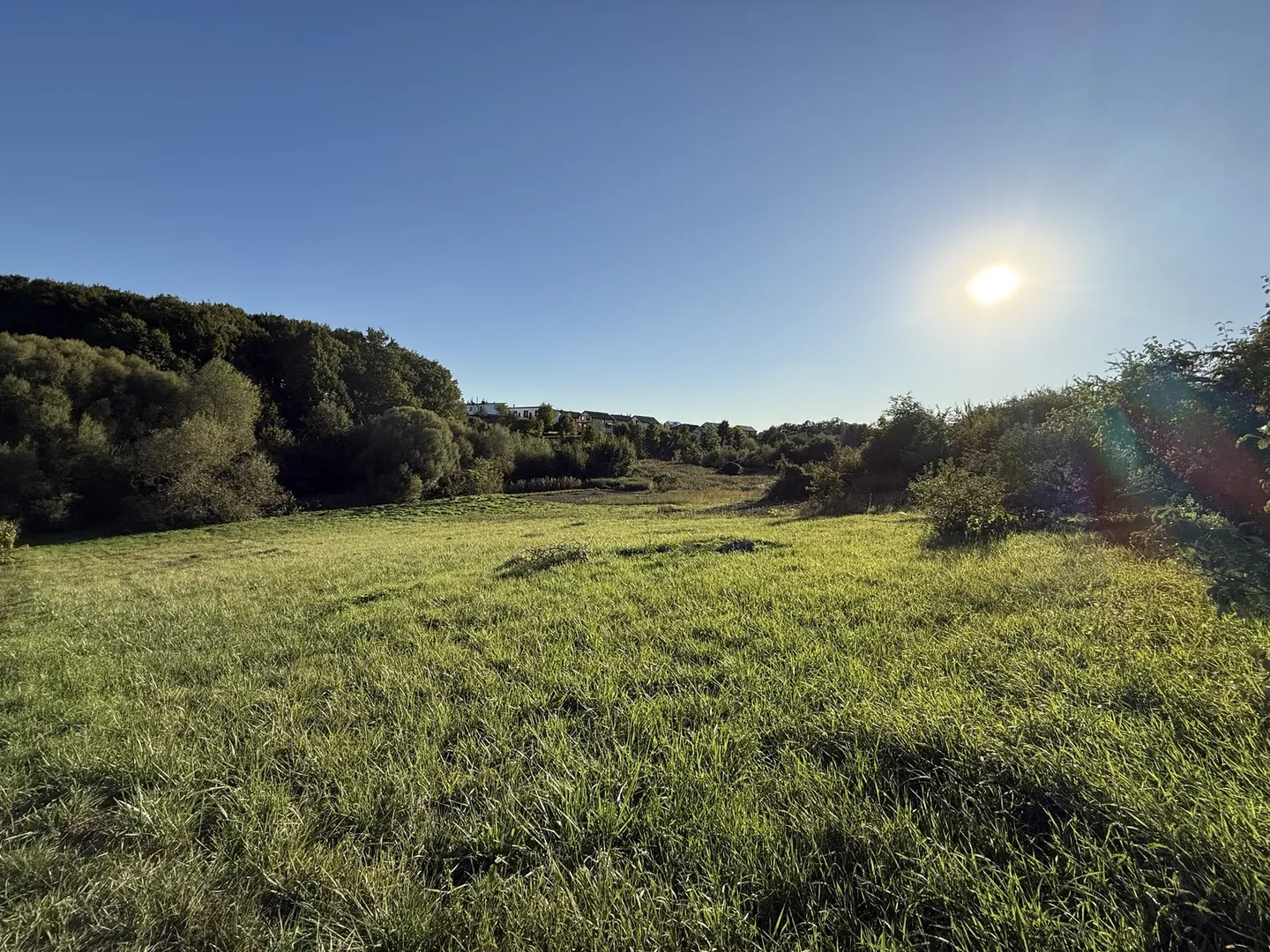 🌿 Продається земельна ділянка 19,2 сотих у Зарванцях — фото 15 з 20