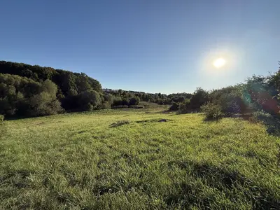 🌿 Продається земельна ділянка 19,2 сотих у Зарванцях — мініатюра фото 15