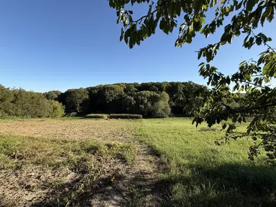 🌿 Продається земельна ділянка 19,2 сотих у Зарванцях — мініатюра фото 16