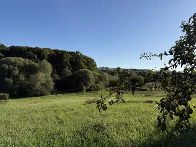 🌿 Продається земельна ділянка 19,2 сотих у Зарванцях — мініатюра фото 17