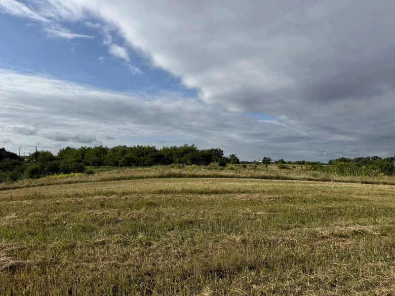 Продаж земельної ділянки у Бохониках  — фото 4 з 10
