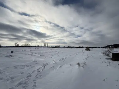 Продаж ділянки під житлову забудову у селі Сосонка — мініатюра фото 2