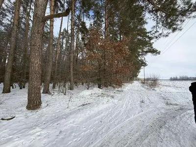 Продаж ділянки під житлову забудову у селі Сосонка — мініатюра фото 3