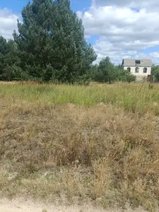 0.1204 га , у власності сусідня ділянка також 0,12га — мініатюра фото 3
