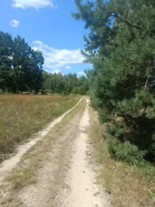 0.1204 га , у власності сусідня ділянка також 0,12га — мініатюра фото 7