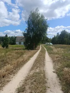 0.1204 га , у власності сусідня ділянка також 0,12га — мініатюра фото 8