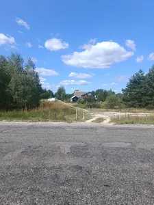 0.1204 га , у власності сусідня ділянка також 0,12га — мініатюра фото 10