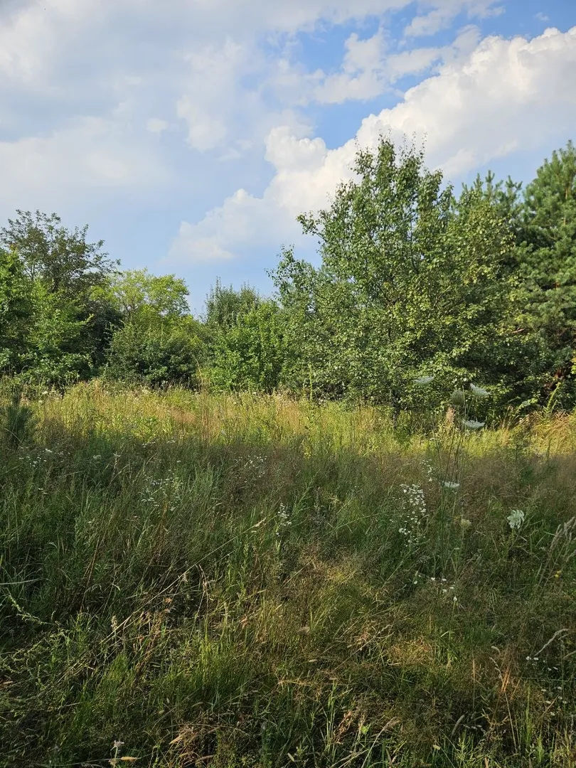 Глеваха, земельна ділянка 14,71 сот. Без комісії. — фото 6 з 17