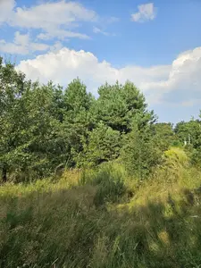 Глеваха, земельна ділянка 14,71 сот. Без комісії. — мініатюра фото 7