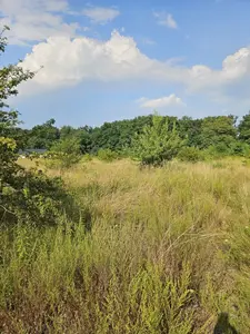 Глеваха, земельна ділянка 14,71 сот. Без комісії. — мініатюра фото 11