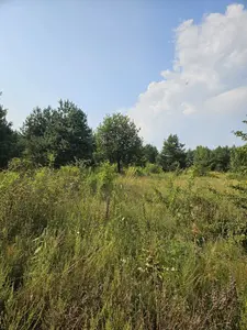 Глеваха, земельна ділянка 14,71 сот. Без комісії. — мініатюра фото 13
