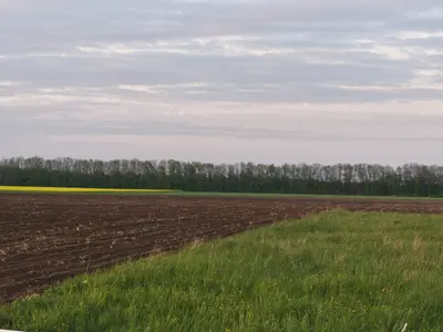 Продаж земельної ділянки в с. Сокиринці — мініатюра фото 1