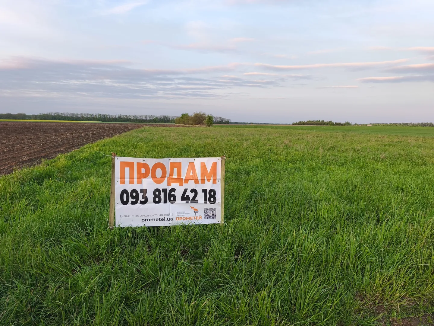 Продаж земельної ділянки в с. Сокиринці — фото 2 з 6
