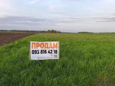 Продаж земельної ділянки в с. Сокиринці — мініатюра фото 2