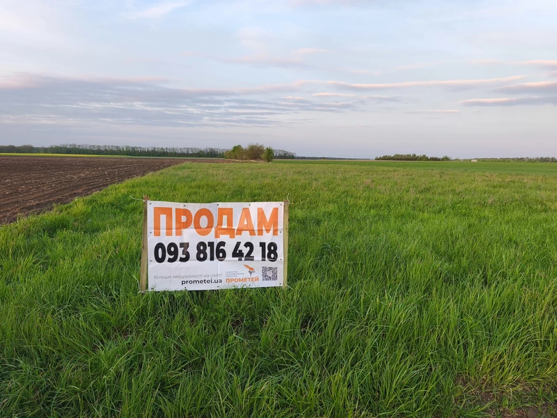 Продаж земельної ділянки в с. Сокиринці — фото 2 з 6
