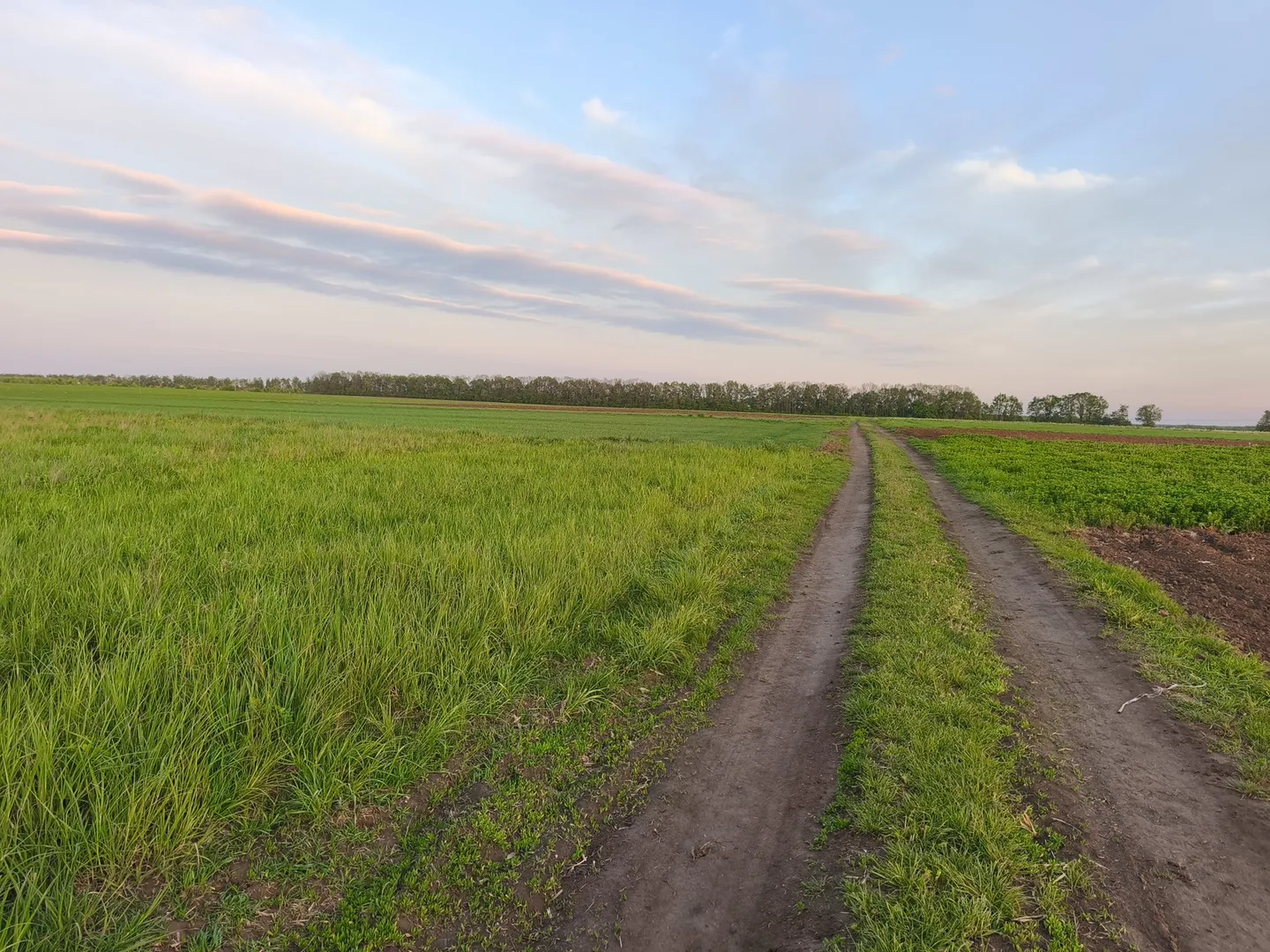 Продаж земельної ділянки в с. Сокиринці — фото 3 з 6