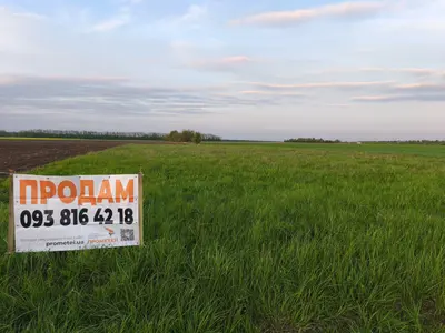 Продаж земельної ділянки в с. Сокиринці — мініатюра фото 4