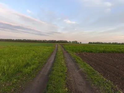 Продаж земельної ділянки в с. Сокиринці — мініатюра фото 5