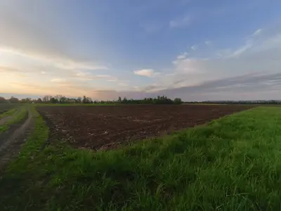 Продаж земельної ділянки в с. Сокиринці — мініатюра фото 6