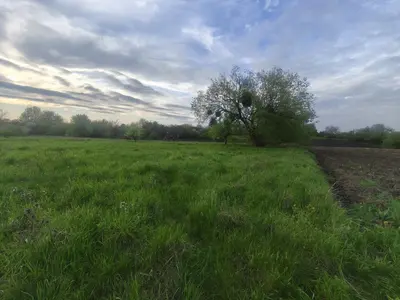 Продаж земельної ділянки с/г у селі Писарівка — мініатюра фото 2