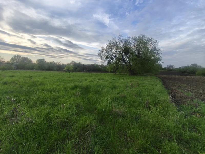 Продаж земельної ділянки с/г у селі Писарівка — фото 2 з 5