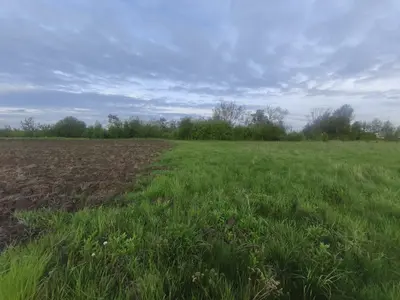 Продаж земельної ділянки с/г у селі Писарівка — мініатюра фото 5