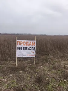 Продаж земельної ділянки у Агрономічному — мініатюра фото 2