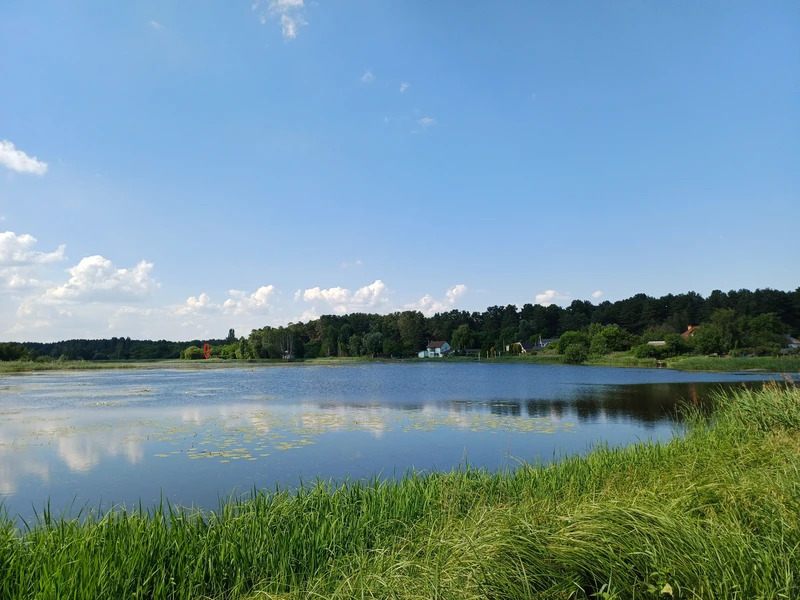 50 соток біля води та лісу | Власний берег | Глібівка | Київське море — фото 1 з 12