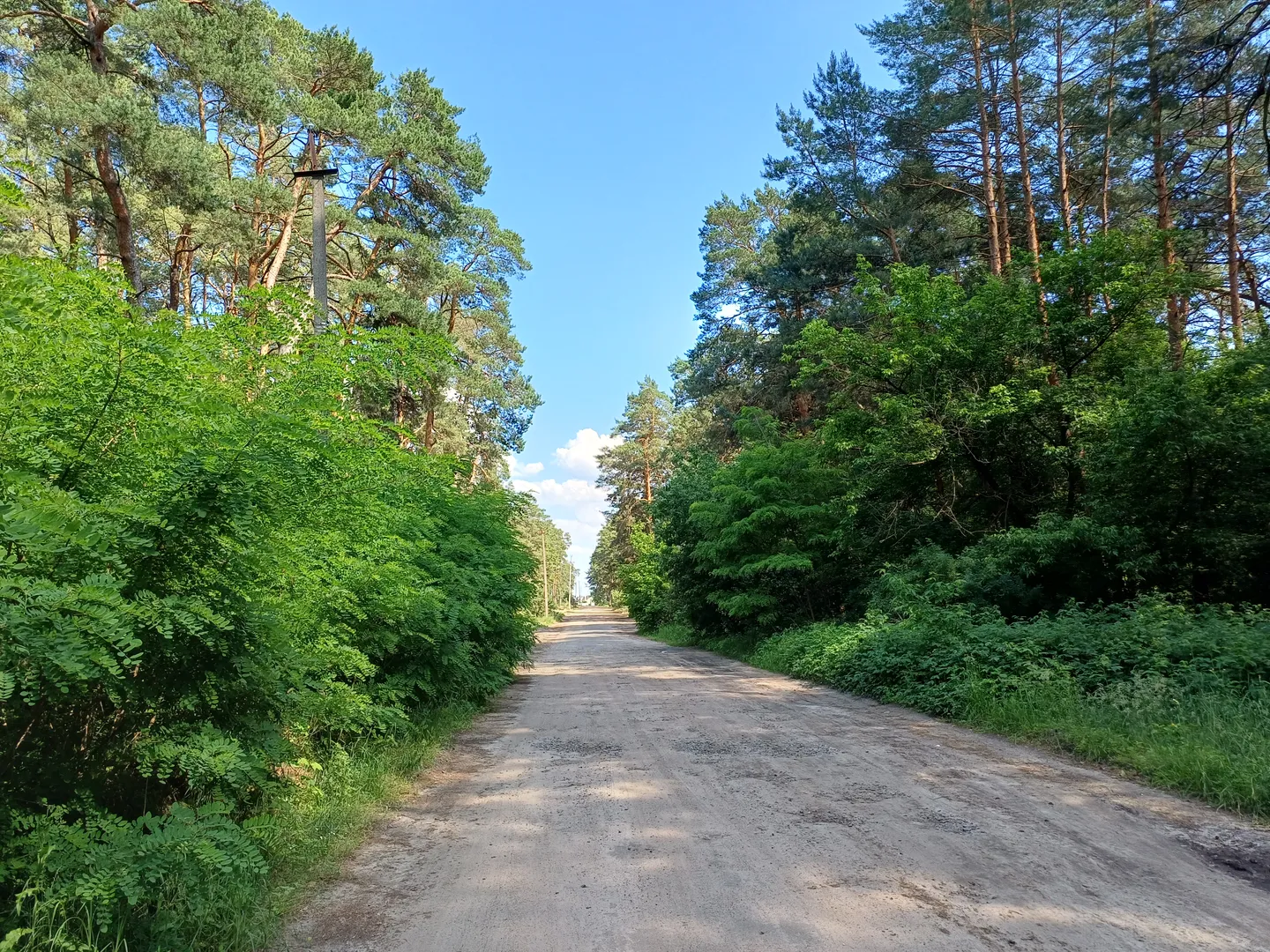 50 соток біля води та лісу | Власний берег | Глібівка | Київське море — фото 3 з 12