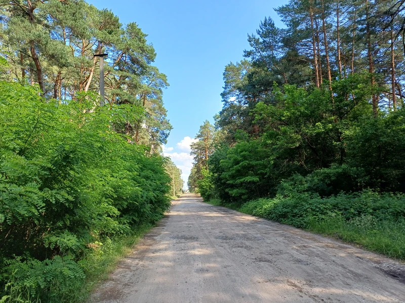 50 соток біля води та лісу | Власний берег | Глібівка | Київське море — фото 3 з 12
