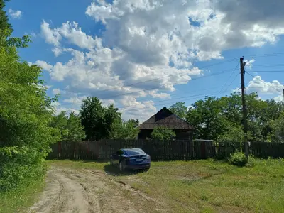 50 соток біля води та лісу | Власний берег | Глібівка | Київське море — мініатюра фото 4