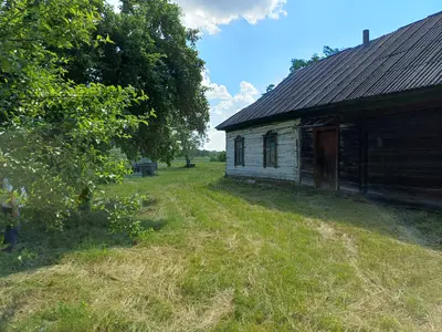 50 соток біля води та лісу | Власний берег | Глібівка | Київське море — мініатюра фото 5