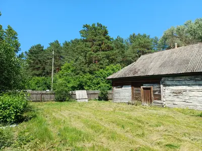 50 соток біля води та лісу | Власний берег | Глібівка | Київське море — мініатюра фото 8