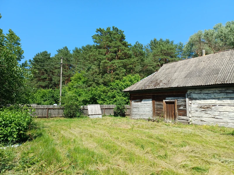 50 соток біля води та лісу | Власний берег | Глібівка | Київське море — фото 8 з 12