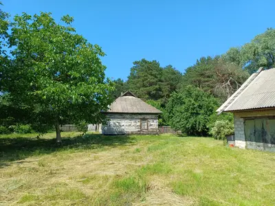 50 соток біля води та лісу | Власний берег | Глібівка | Київське море — мініатюра фото 9