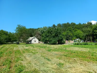 50 соток біля води та лісу | Власний берег | Глібівка | Київське море — мініатюра фото 10