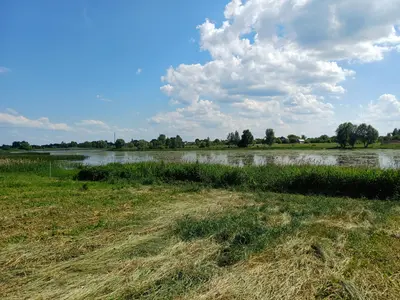 50 соток біля води та лісу | Власний берег | Глібівка | Київське море — мініатюра фото 12